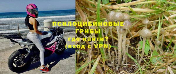 кокаин премиум Белокуриха