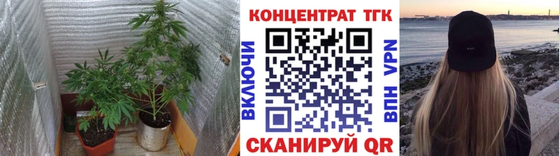 ТГК гашишное масло Надым