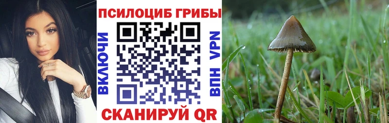 Галлюциногенные грибы мухоморы  Надым 